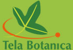 Tela Botanica