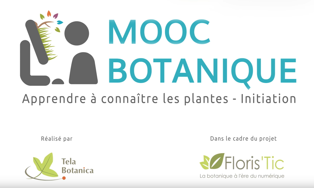 Le Mooc Botanique Sur Youtube Tela Botanica