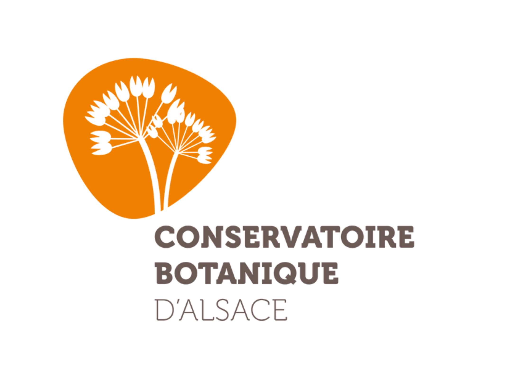 Une Charg E De Missions Flore Pour Le Conservatoire Botanique Alsace