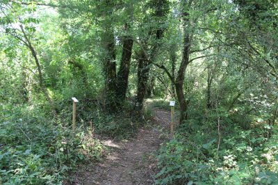 Le sentier botanique