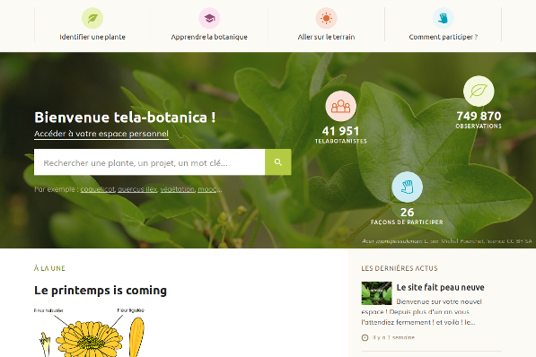 Découvrez Et Testez Le Nouveau Tela-botanica.org – Tela Botanica