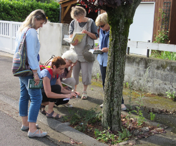 Groupe “Sauvages de ma rue” - photo prise par un journaliste du journal “la montagne”