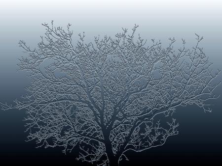 Arbre en hiver par René BRENGUIER