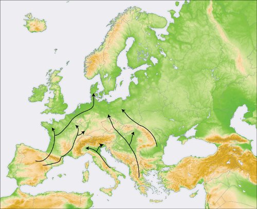 Figure 2 : Hypothétiques voies de recolonisation empruntées par M. sylvestris à la fin du dernier âge glaciaire, au début de l'Holocène, il y a 10000 ans.