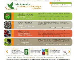 Site de Tela - 2010