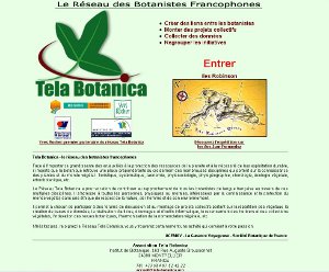 Site de Tela - 2003 