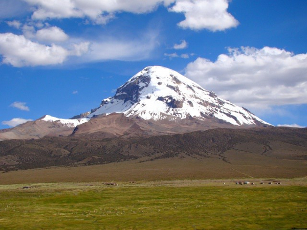 Forêt de Polylepis autours du volcan Sajama