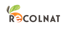 image logo_recolnat_100.png (9.6kB)
Lien vers: https://www.recolnat.org/