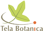 image logo_tela_carre_taupe_duovert_orange.png (7.0kB)
Lien vers: http://www.tela-botanica.org/site:accueil