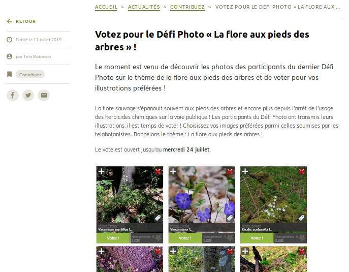 image Capture_dcran_de_20191004_113632.png (0.2MB)
Lien vers: https://www.tela-botanica.org/2019/07/votez-pour-le-defi-photo-la-flore-aux-pieds-des-arbres/