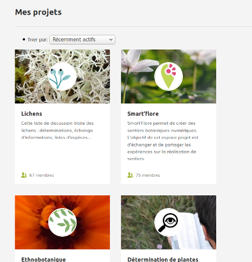 projets