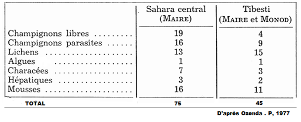 Tableau : Les cryptogames « sahariens »