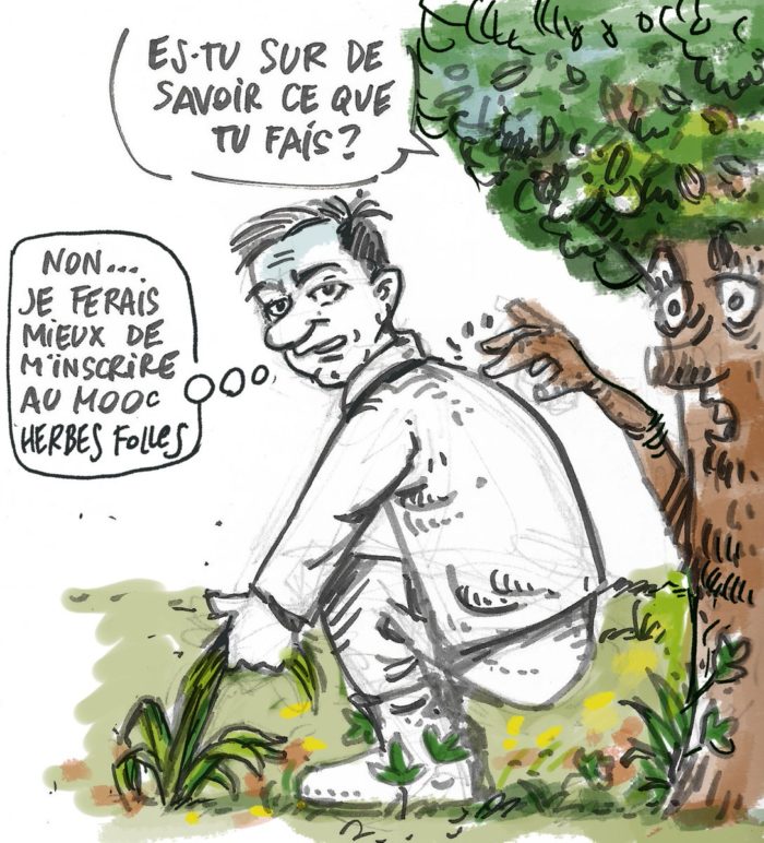 Illustration MOOC Herbes Folles - Frédéric Duriez