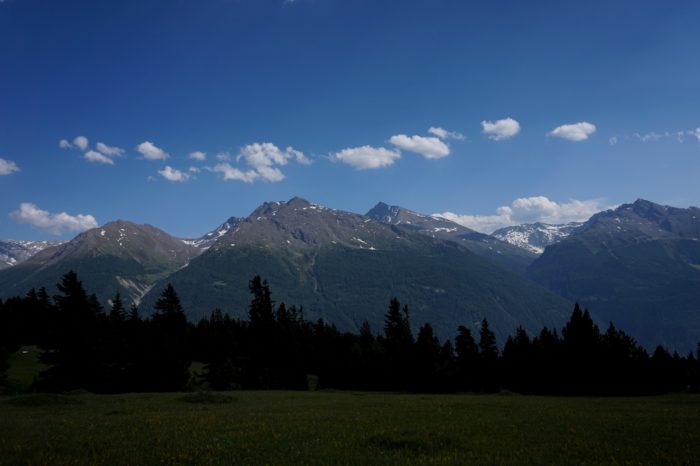 En France, les Alpes et les Pyrénées représentent les derniers espaces encore naturels où les espèces peuvent se développer normalement