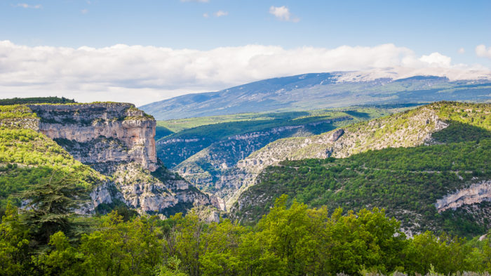 vaucluse paysage