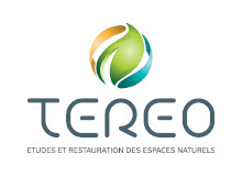 tereo-logo