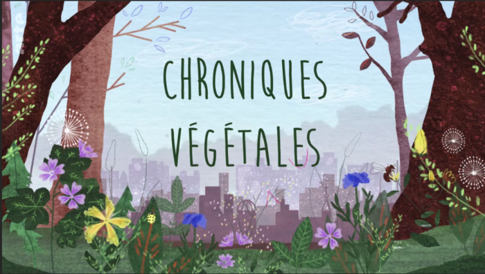 chroniques végétales