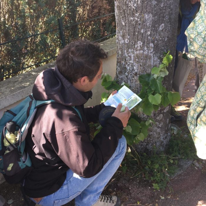 Les vigie-floristes testent le programme sTREEts !