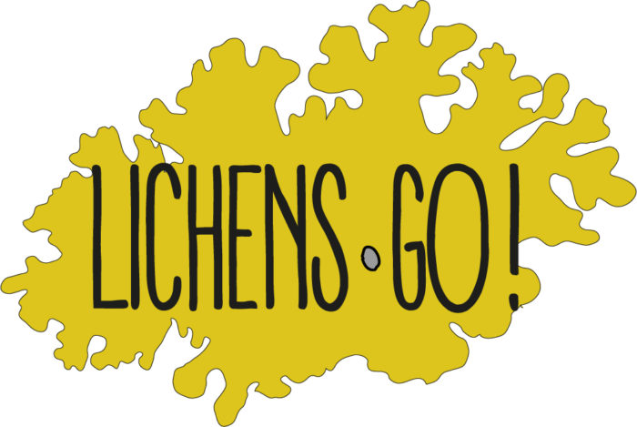 Lichens Go !