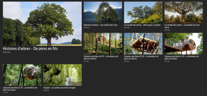 APA] Quiz sur les observatoires citoyens liés aux arbres – Tela Botanica