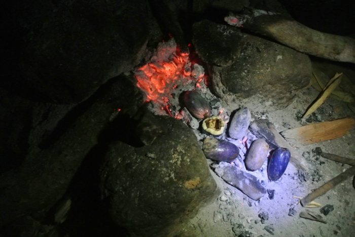 Image 3 : Safous mis à braiser dans les cendres chaudes.