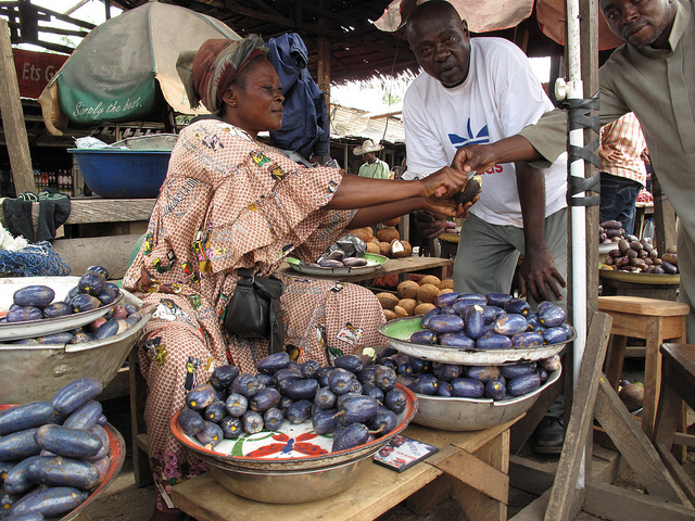 Image 1 : Safous en vente dans un village camerounais. Entre juin et septembre, les fruits sont revendus en tas ou en plateaux dans les marchés. Le prix est fonction de la qualité des fruits, que les consommateurs testent en goûtant.