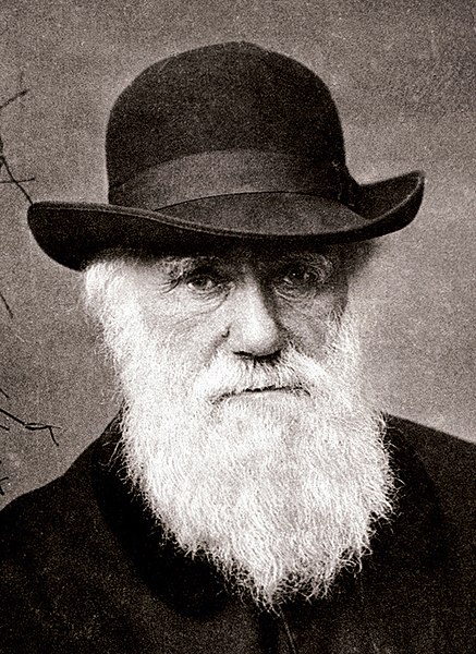 Charles Darwin en 1881