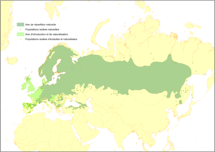 Scots_pine_distribution_FR