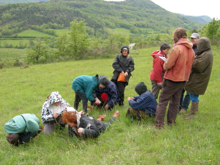 groupe regardant plantes dehors