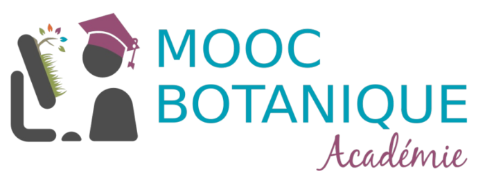 logo-mooc-acad-700x267