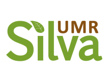 logo UMR Silva