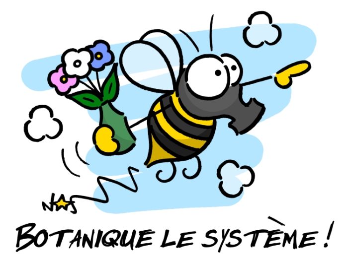 botanique_le_systeme