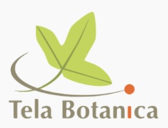 logo-Tela