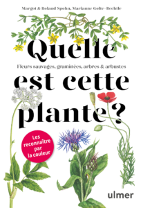 Quelle Est Cette Plante ? Fleurs Sauvages, Graminées, Arbres Et ...