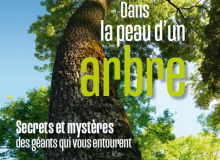 Dans la peau d'un arbre