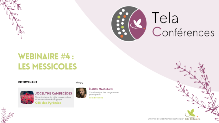 Écrans d'accueil webinaires TC(7)