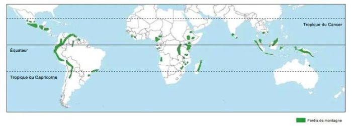 Répartition des forêts tropicales de montagne dans le monde.