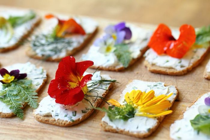 Sortie Délicieuses fleurs sauvages comestibles