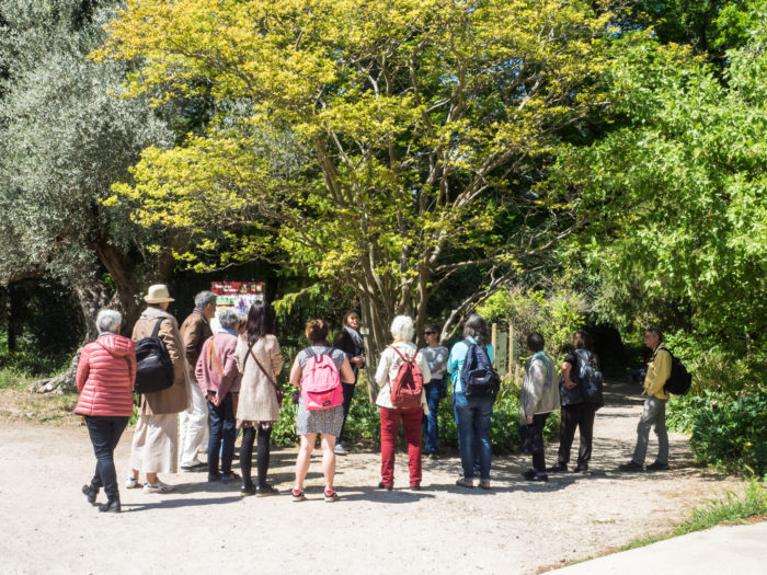 Jardin des plantes