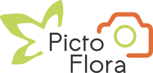 logo-Picto-Flora(2)