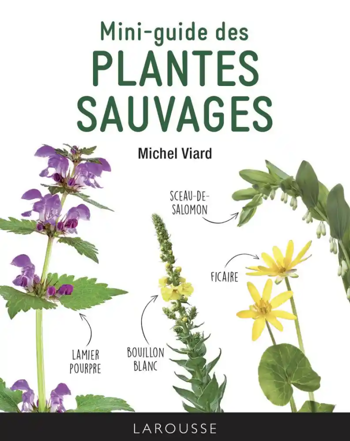 Mini-guide des plantes sauvages – Tela Botanica