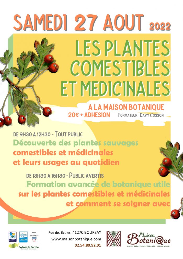 stage - plantes sauvages