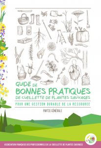 Mini-guide des plantes sauvages – Tela Botanica