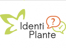 2012-logo-identiplante-actu