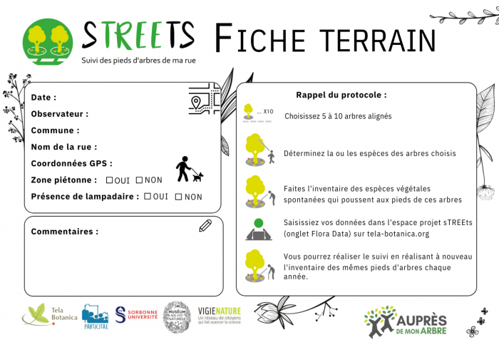 fiche terrain