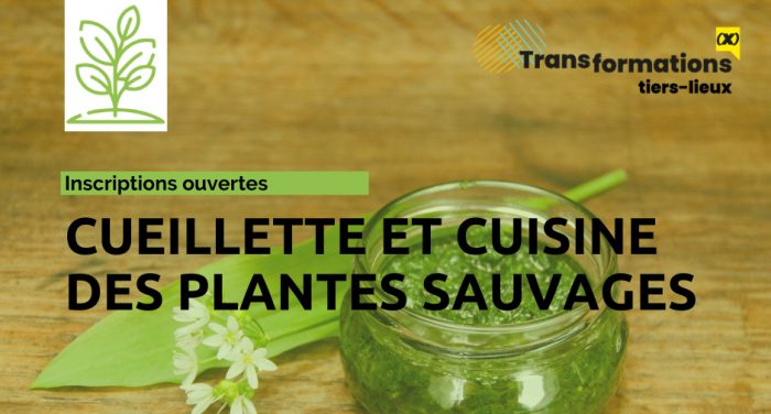 Mini-guide des plantes sauvages – Tela Botanica