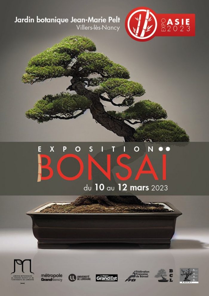 Exposition Bonsai