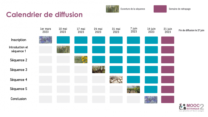 Calendrier diffusion MOOC Botanique 2