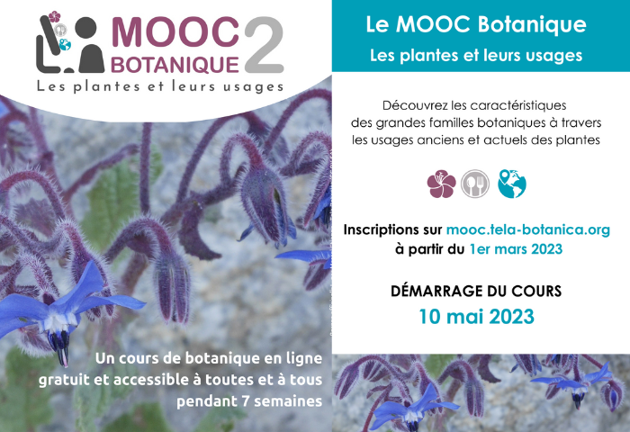 Flyer du MOOC Botanique 2 “Les plantes et leurs usages” - Tela Botanica CC BY-SA