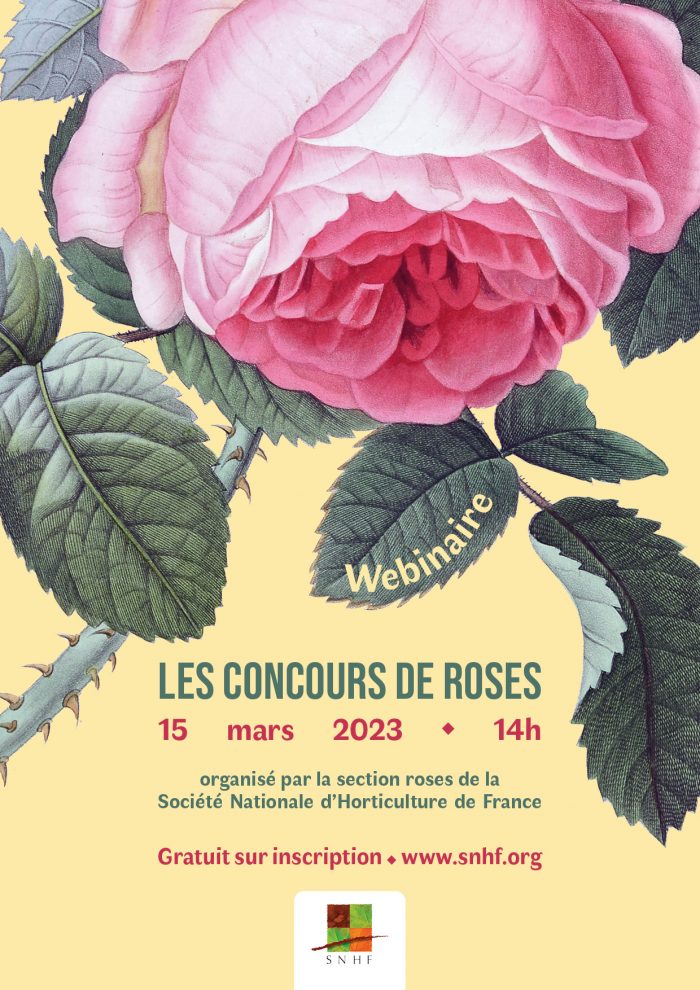 Les-Concours-De-Roses-2023